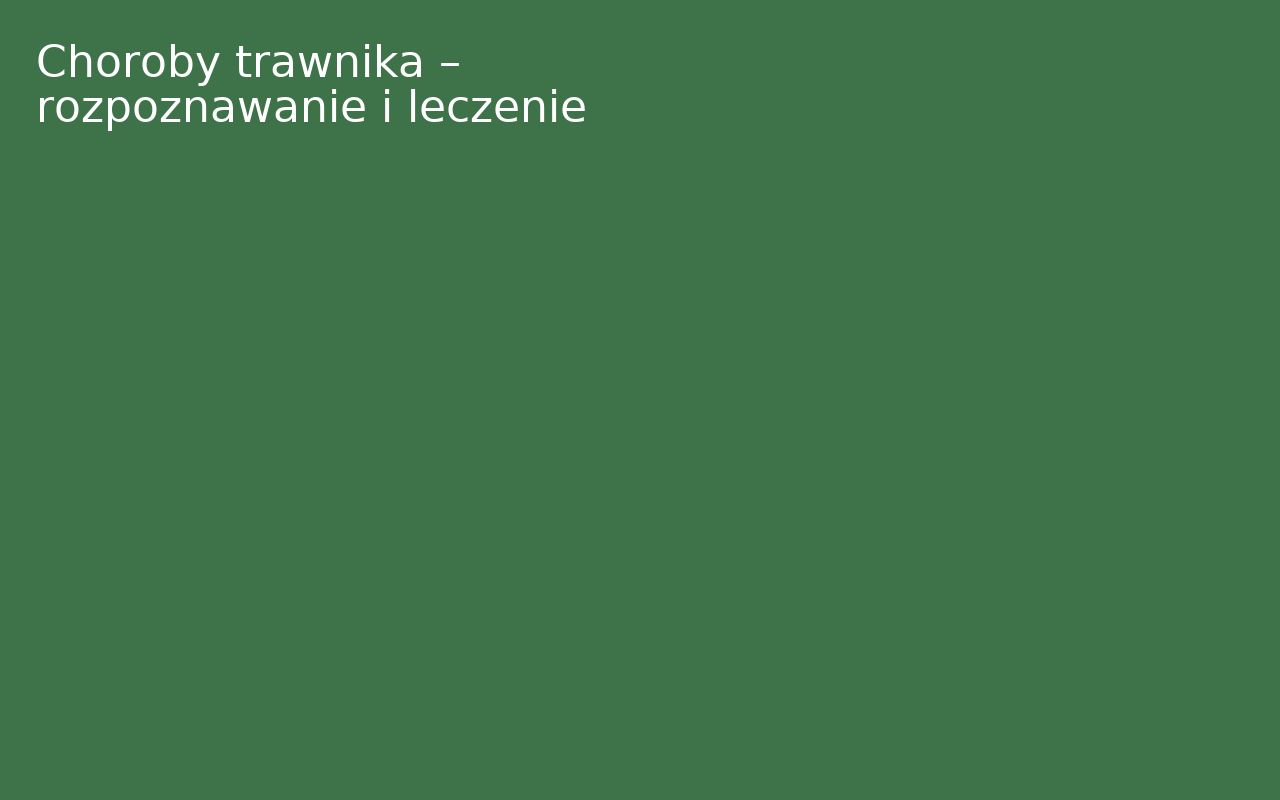 Choroby trawnika – rozpoznawanie i leczenie