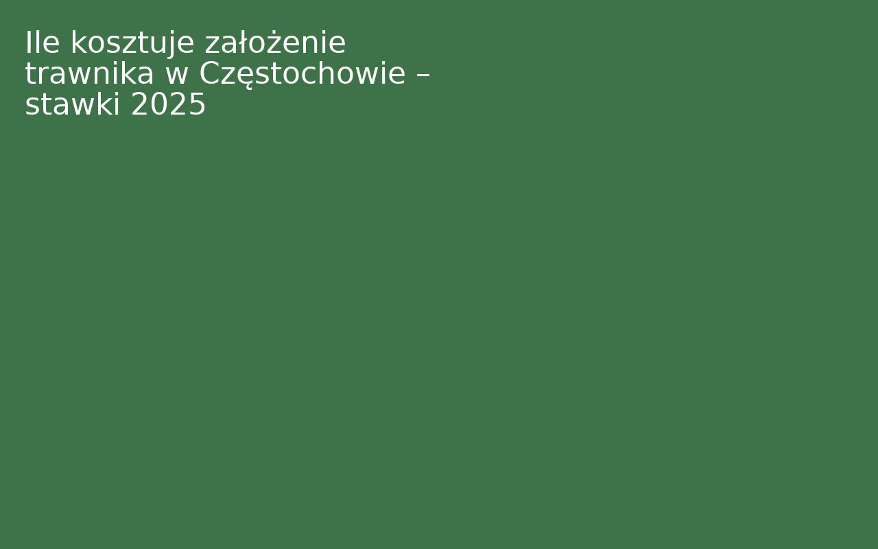 Ile kosztuje założenie trawnika w Częstochowie – stawki 2025