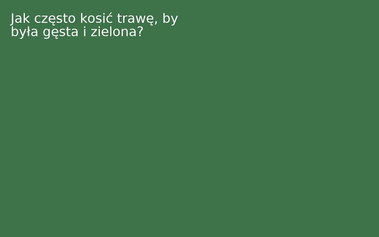 Jak często kosić trawę, by była gęsta i zielona?