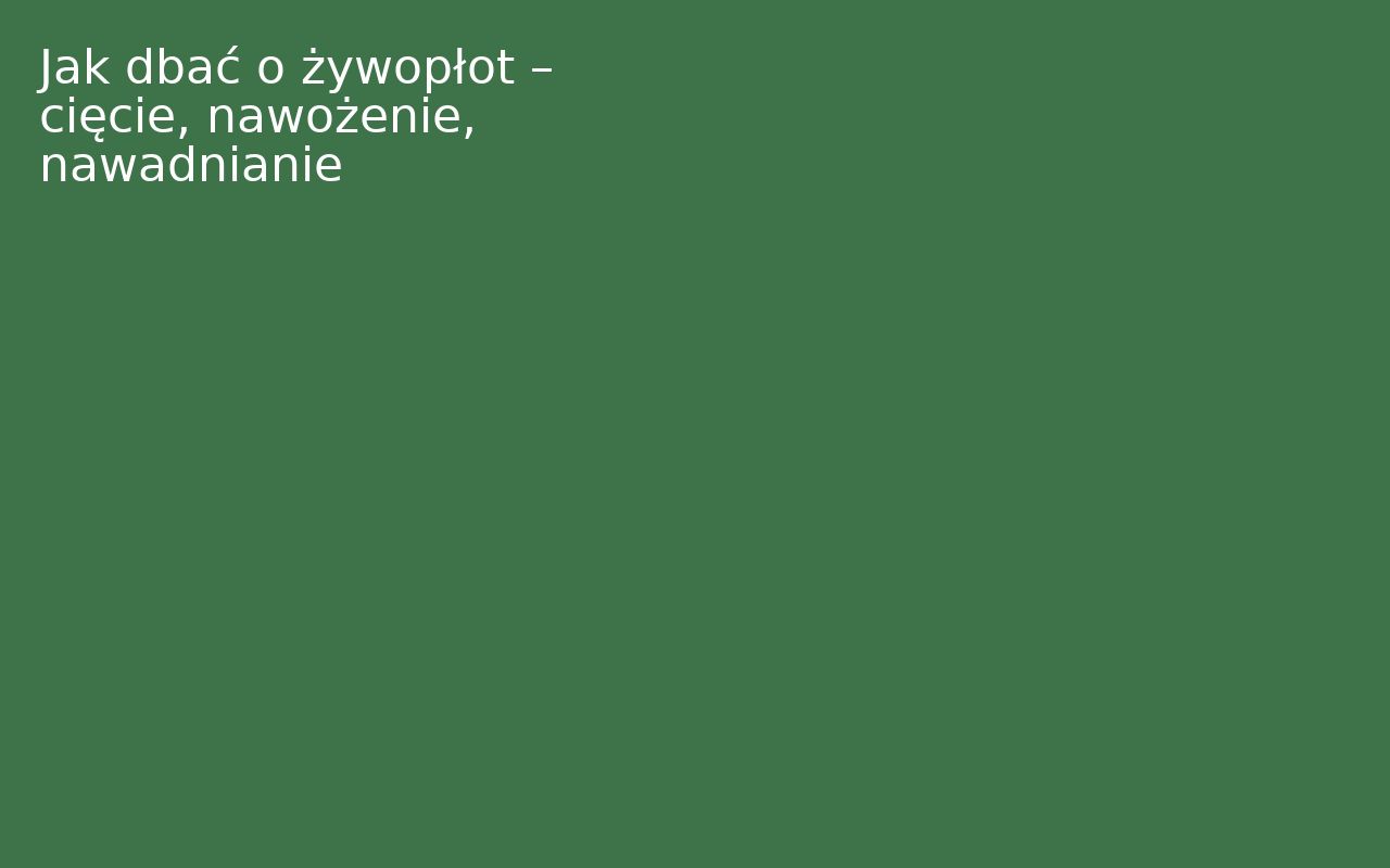 Jak dbać o żywopłot – cięcie, nawożenie, nawadnianie