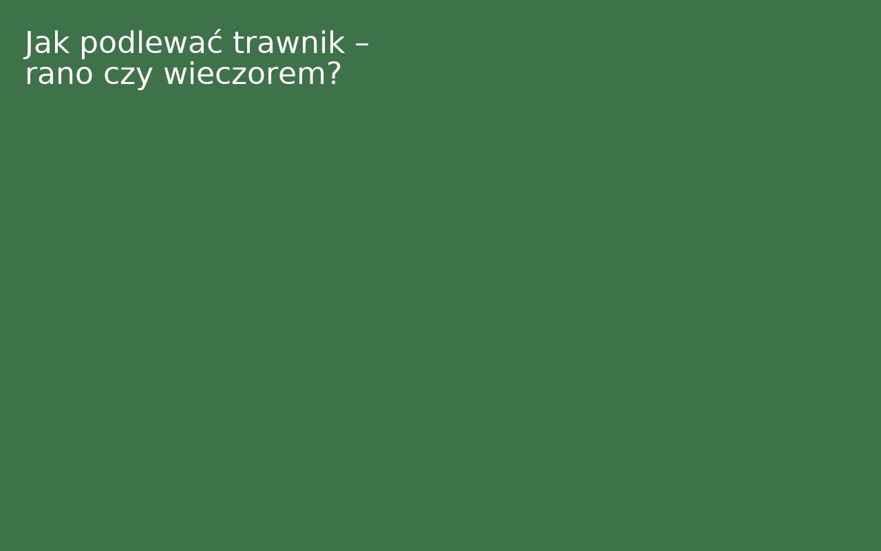 Jak podlewać trawnik – rano czy wieczorem?