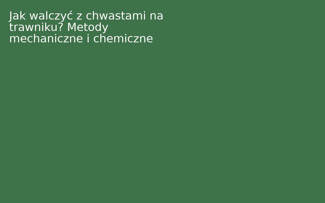 Jak walczyć z chwastami na trawniku? Metody mechaniczne i chemiczne