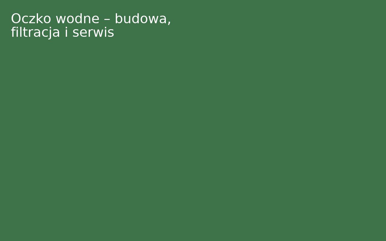 Oczko wodne – budowa, filtracja i serwis