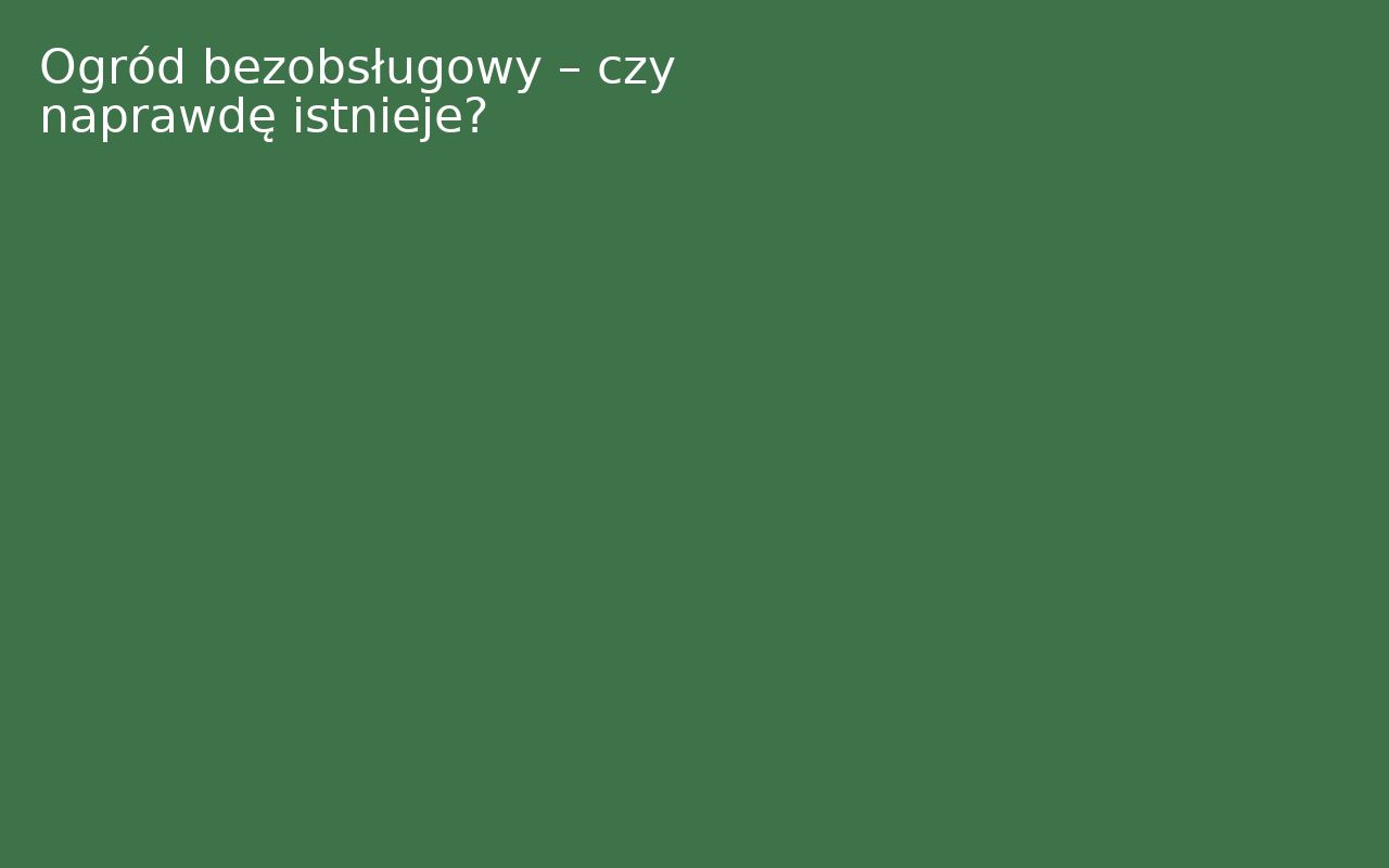 Ogród bezobsługowy – czy naprawdę istnieje?