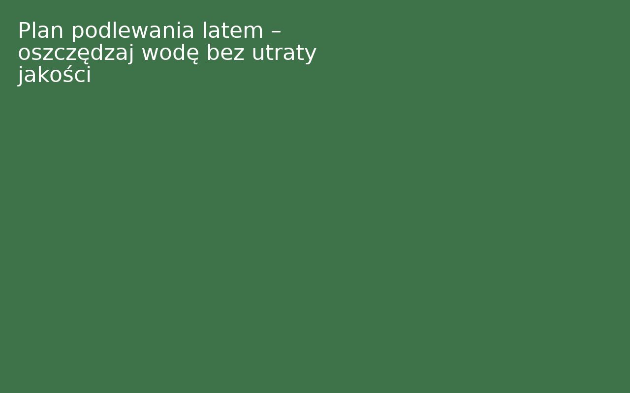 Plan podlewania latem – oszczędzaj wodę bez utraty jakości