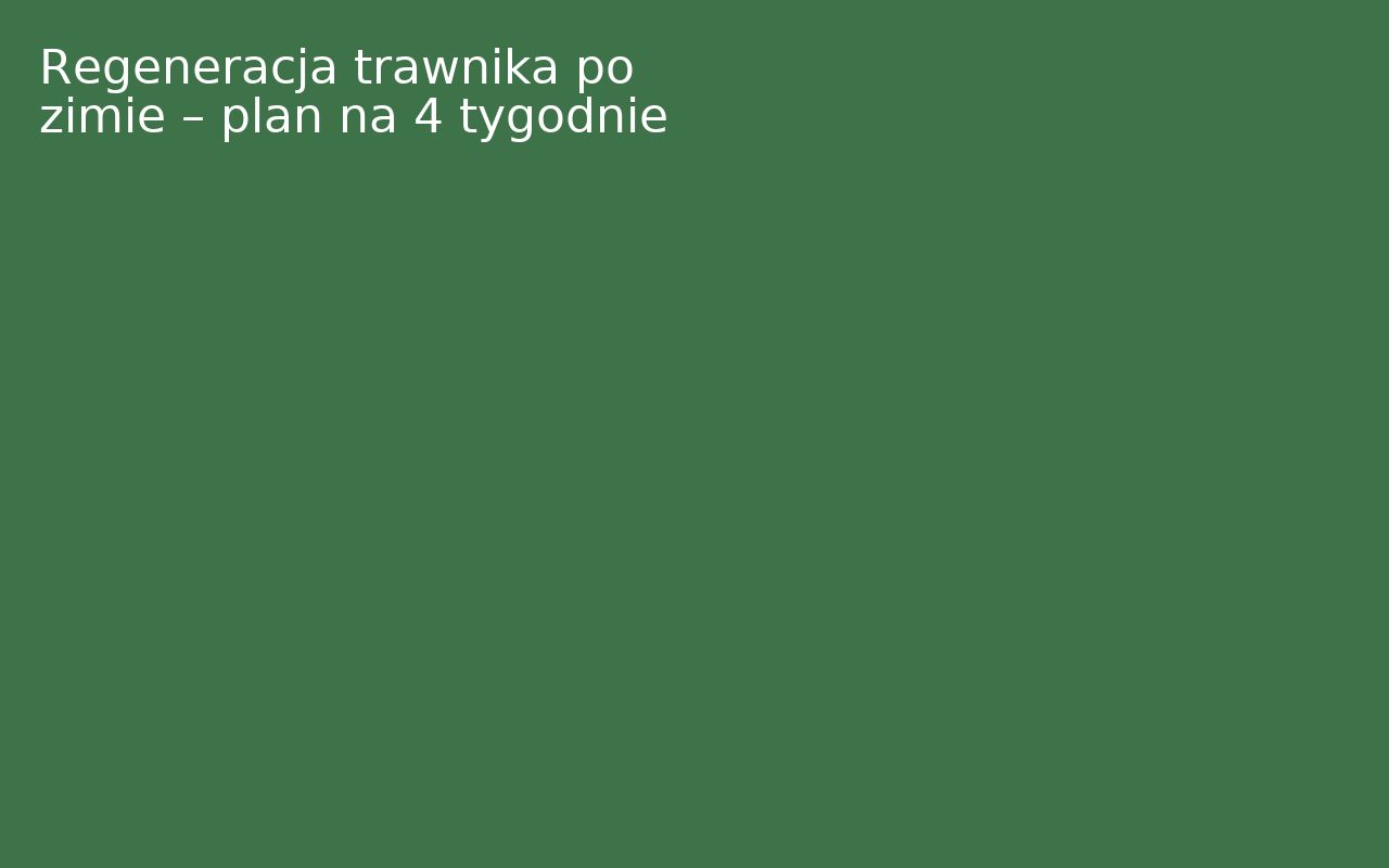 Regeneracja trawnika po zimie – plan na 4 tygodnie