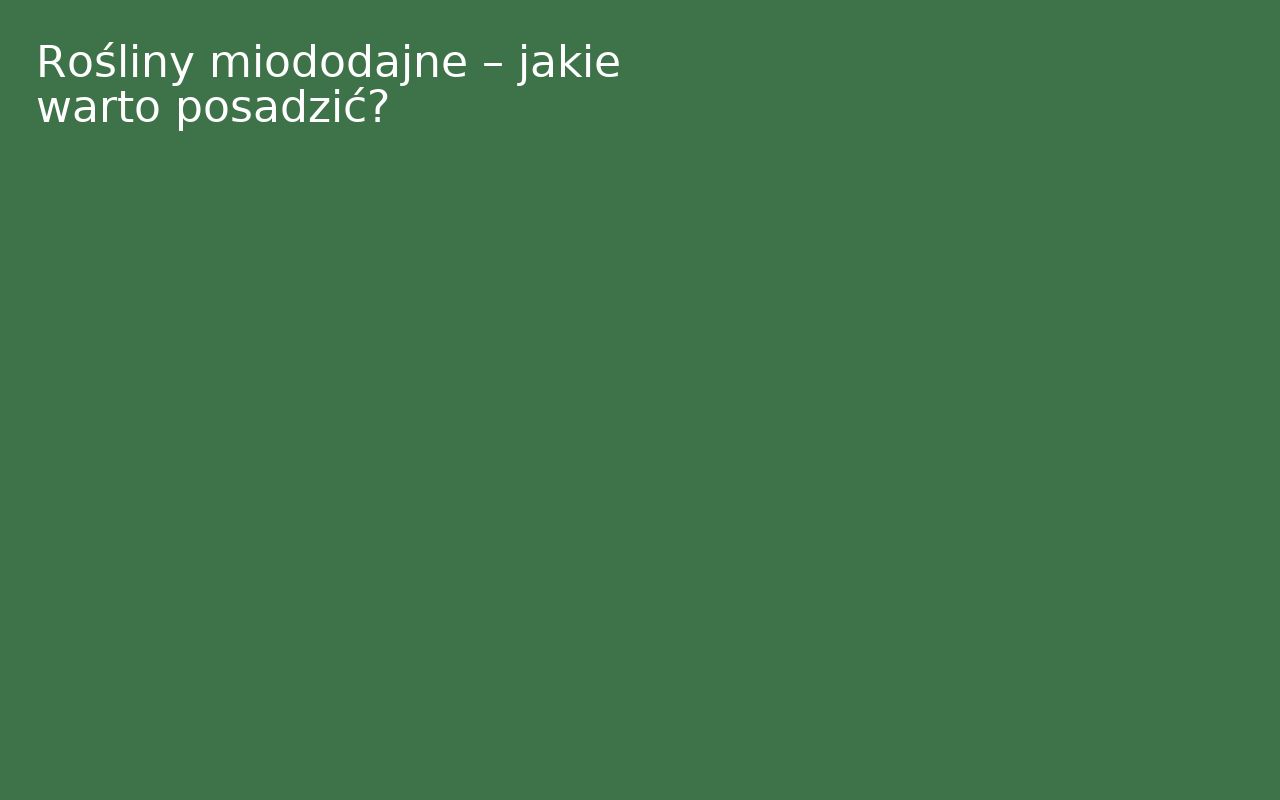 Rośliny miododajne – jakie warto posadzić?