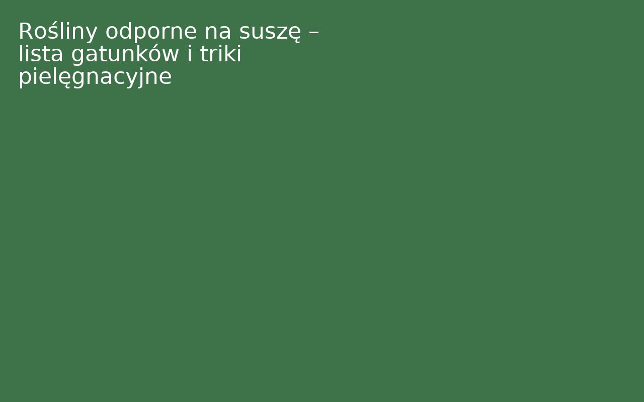 Rośliny odporne na suszę – lista gatunków i triki pielęgnacyjne
