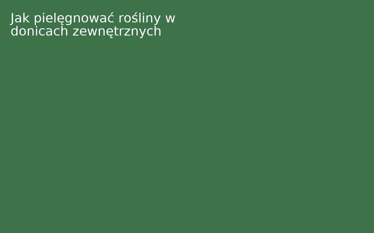 Jak pielęgnować rośliny w donicach zewnętrznych