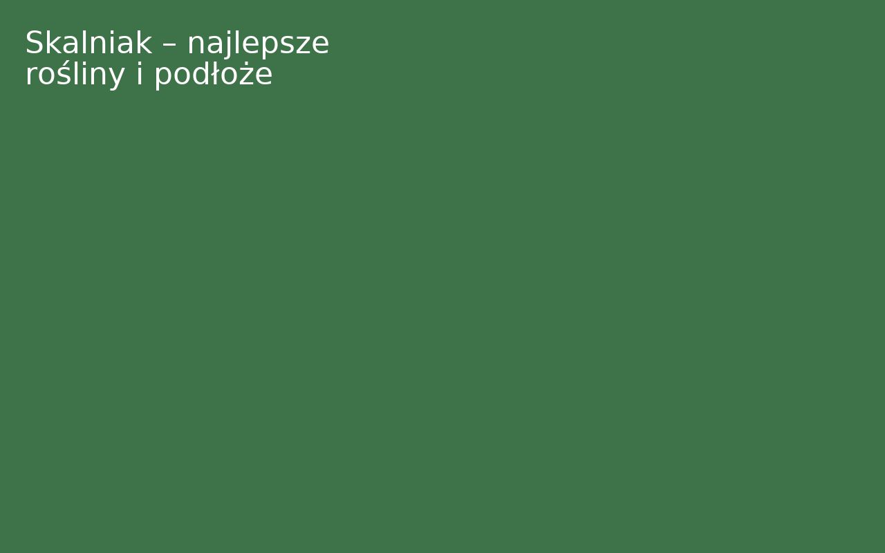 Skalniak – najlepsze rośliny i podłoże