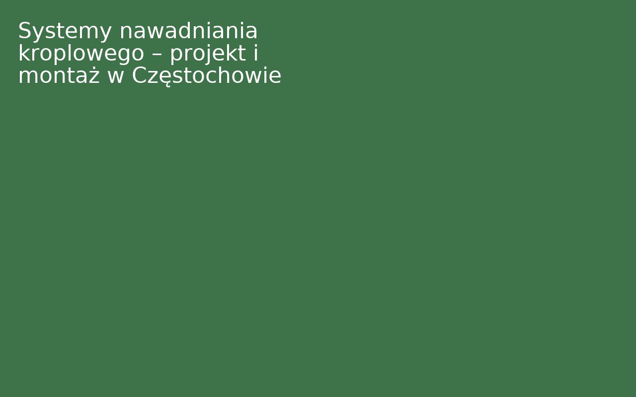 Systemy nawadniania kroplowego – projekt i montaż w Częstochowie
