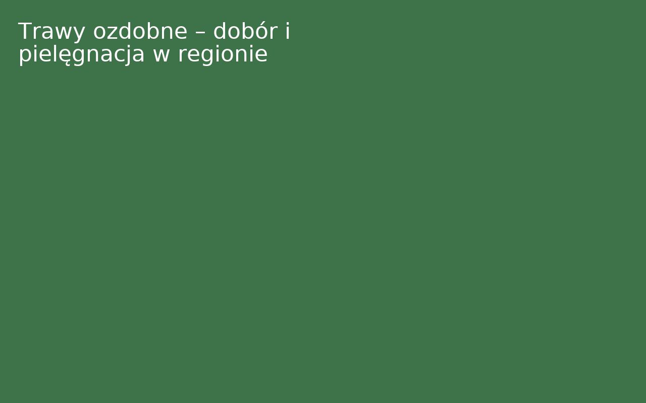 Trawy ozdobne – dobór i pielęgnacja w regionie