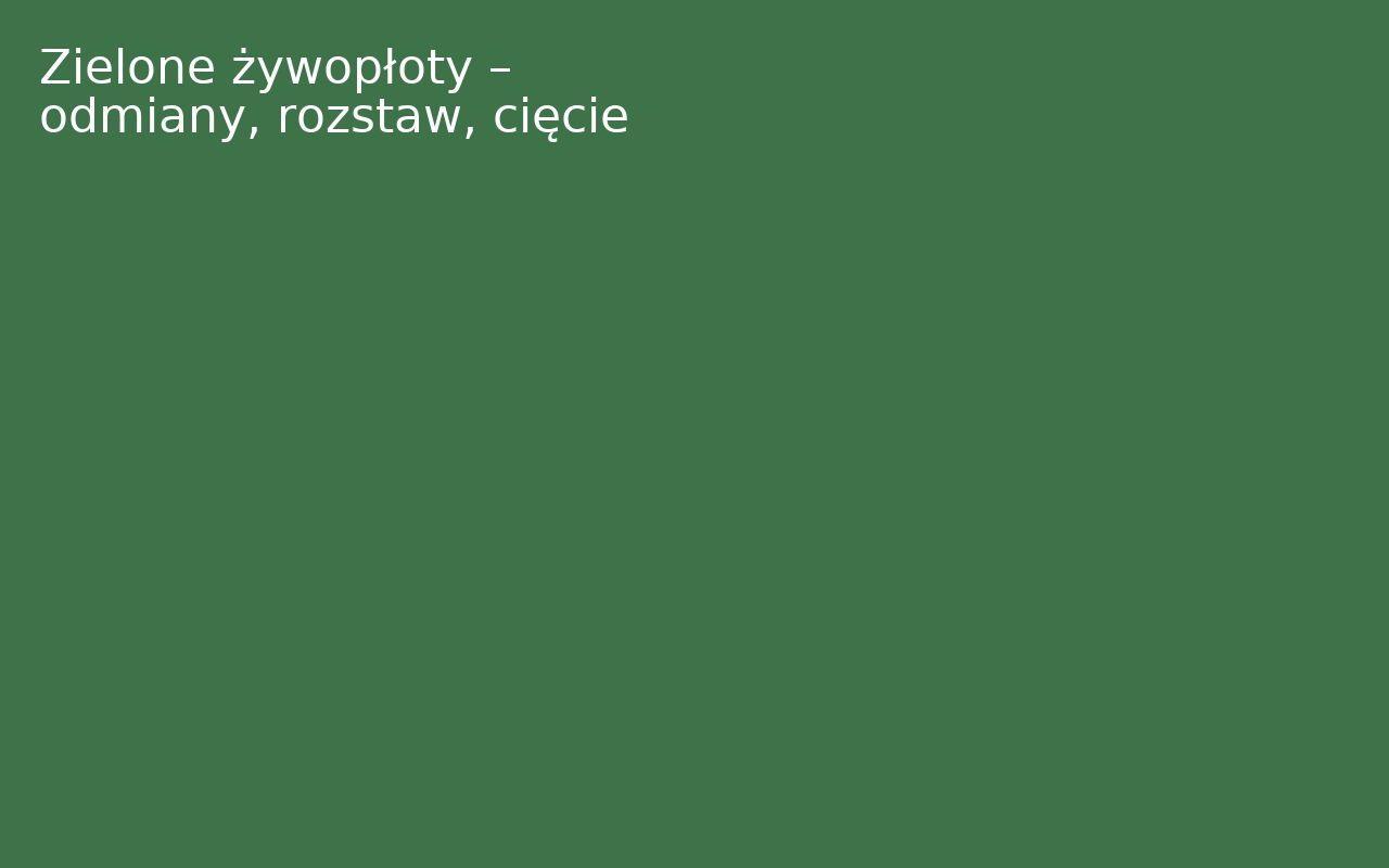 Zielone żywopłoty – odmiany, rozstaw, cięcie